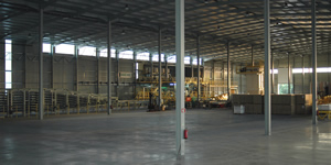 tectum