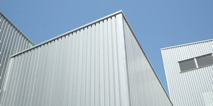 tectum