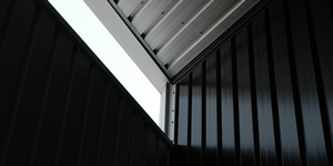 tectum