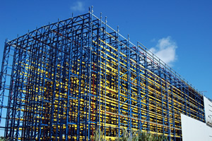 tectum