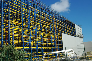 tectum